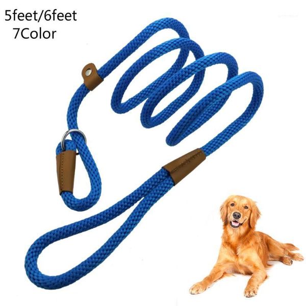 pet products dog leash nylon dog leash medium large pet and collar set outdoor training walking dogs leashes lead harness1
pet products dog leash nylon dog leash medium large pet and collar set outdoor training walking dogs leashes lead harness1