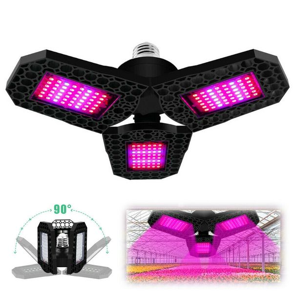 3 pcs e27 85-265v led grow light foldable full spectrum hydroponics flower plant lamp led grow light full spectrum
3 pcs e27 85-265v led grow light foldable full spectrum hydroponics flower plant lamp led grow light full spectrum