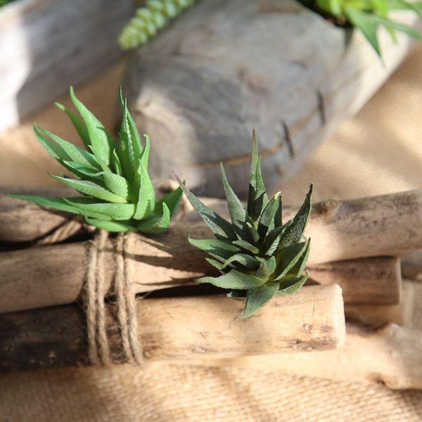 artificial fleshiness aloe succulent plant bonsai local landscape pu decorative flower home balcony decoration1
artificial fleshiness aloe succulent plant bonsai local landscape pu decorative flower home balcony decoration1