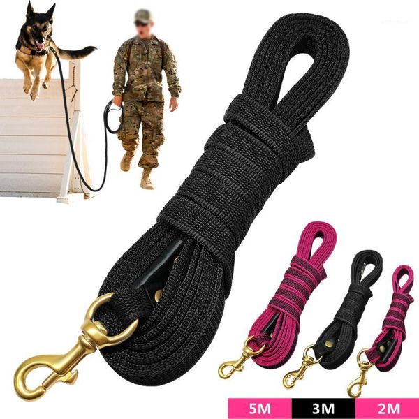 dog collars & leashes long leash nylon non-slip large dogs 5m lead walking for tracking medium 2m 3m training1
dog collars & leashes long leash nylon non-slip large dogs 5m lead walking for tracking medium 2m 3m training1