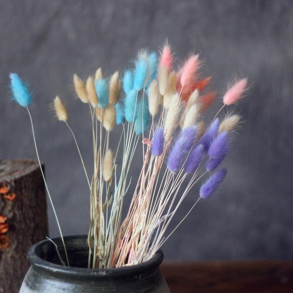 tail dried bouquet native home decoration furnishings art nostalgic wind dried grass tail grass shoot
tail dried bouquet native home decoration furnishings art nostalgic wind dried grass tail grass shoot