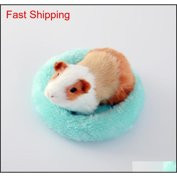 buy 1 get 4 pet house nest for small animals warm guinea hamster cushion mat round shape pet bed for squirre qylakc toys2010
buy 1 get 4 pet house nest for small animals warm guinea hamster cushion mat round shape pet bed for squirre qylakc toys2010