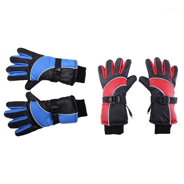 lithium battery charging electric heating gloves heating gloves winter outdoor sports waterproof us plug1
lithium battery charging electric heating gloves heating gloves winter outdoor sports waterproof us plug1