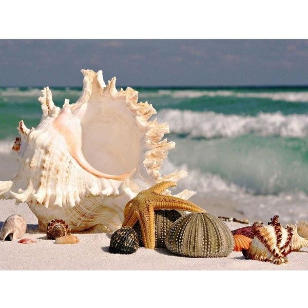 paintings diy 5d diamond painting full round drill cross stitch conch embroidery mosaic kit rhinestones handmade gift wall sticker
paintings diy 5d diamond painting full round drill cross stitch conch embroidery mosaic kit rhinestones handmade gift wall sticker