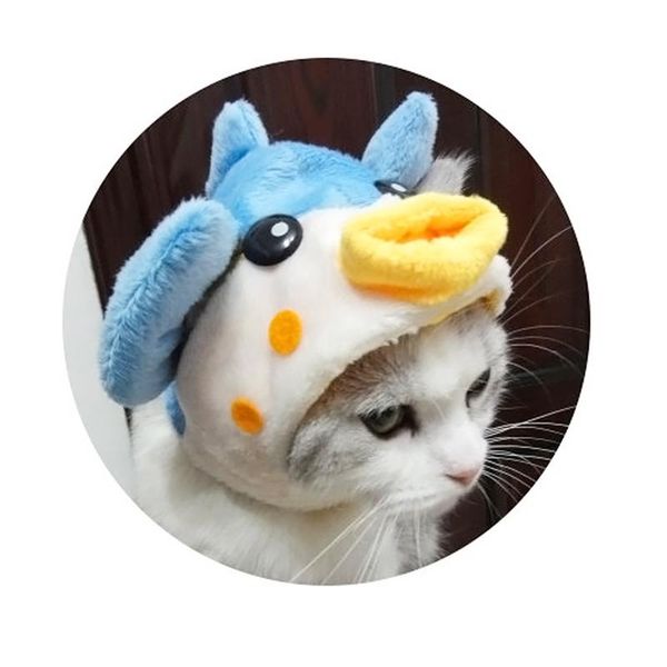 cat clothes hat for dogs christmas dress up cute hats for cat dogs halloween pet costume hat head sets for pets h bbyzqf
cat clothes hat for dogs christmas dress up cute hats for cat dogs halloween pet costume hat head sets for pets h bbyzqf