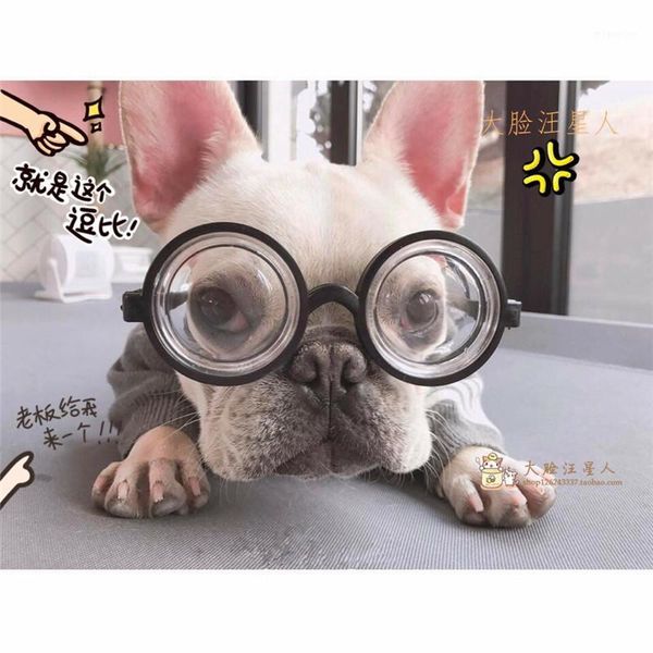 funny dog glasses pet glasses pet accessories sunglasses elastic webbing puppy goggles eye wear protection1
funny dog glasses pet glasses pet accessories sunglasses elastic webbing puppy goggles eye wear protection1