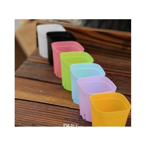 plastic flowerpot mini multicolour square succulents breed base special purpose basin the bottom is more breathable jllkfu home003
plastic flowerpot mini multicolour square succulents breed base special purpose basin the bottom is more breathable jllkfu home003