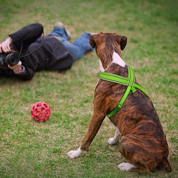 nylon reflective soft mesh padded dog harness vest for medium large dog pitbull adjustable s m l xl 3 colors pi wmtzep
nylon reflective soft mesh padded dog harness vest for medium large dog pitbull adjustable s m l xl 3 colors pi wmtzep