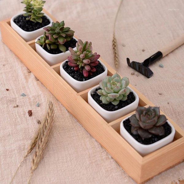 fleshy flower iron ceramics flowerpot wooden box succulent plant flower pot rack planter bonsai pot 5 grid1
fleshy flower iron ceramics flowerpot wooden box succulent plant flower pot rack planter bonsai pot 5 grid1