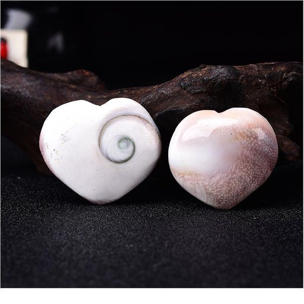 natural heart shaped fossil sun shell mineral specimen collection home decoration reiki ornaments souvenir healing qylqzy, Black
natural heart shaped fossil sun shell mineral specimen collection home decoration reiki ornaments souvenir healing qylqzy, Black