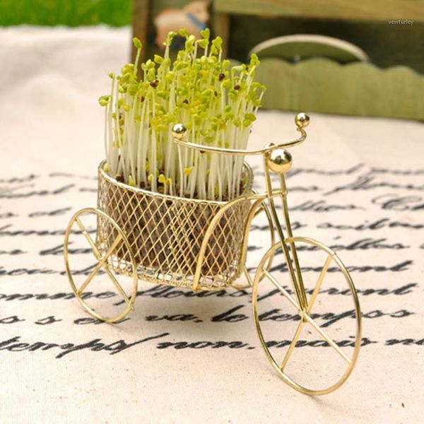 decorative flowers & wreaths home & garden grass seeds bonsai diy decor love bike design for planting seed creative1
decorative flowers & wreaths home & garden grass seeds bonsai diy decor love bike design for planting seed creative1