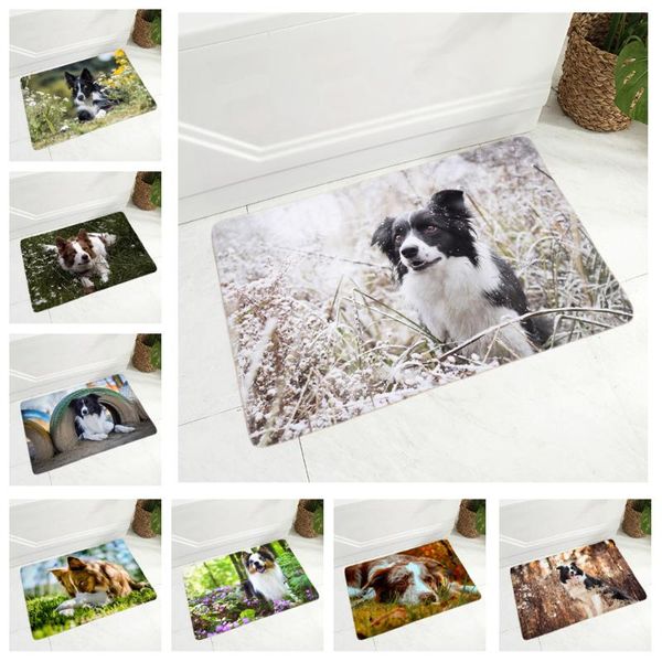 cushion/decorative pillow pet dog animal door mat non-slip doormat flannel carpet floor for bedroom hallway decor scotland border collie rug
cushion/decorative pillow pet dog animal door mat non-slip doormat flannel carpet floor for bedroom hallway decor scotland border collie rug
