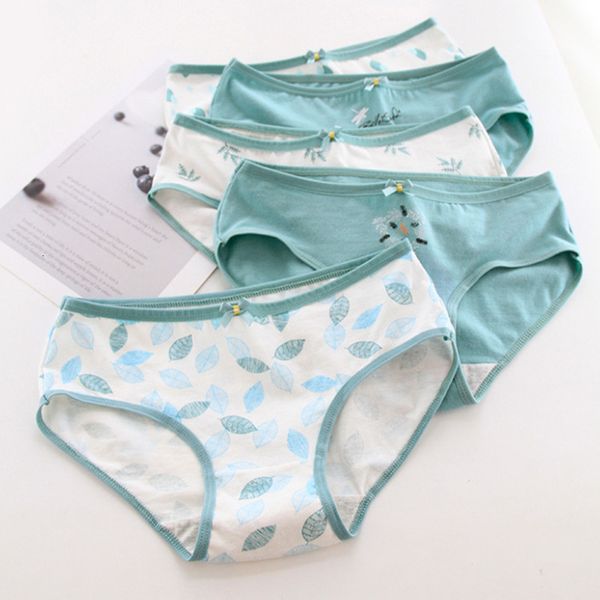 new women's cotton panties girl comfortable forest series bikini dragoy printing underwear ladies briefs, Black;pink
new women's cotton panties girl comfortable forest series bikini dragoy printing underwear ladies briefs, Black;pink