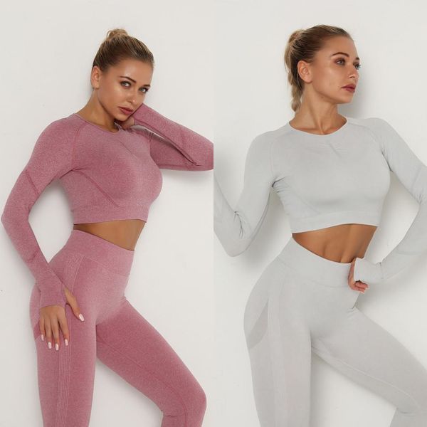 women seamless yoga set fitness sports suits gym clothing long sleeve crop shirts high waist running leggings workout pants c0123, Gray
women seamless yoga set fitness sports suits gym clothing long sleeve crop shirts high waist running leggings workout pants c0123, Gray