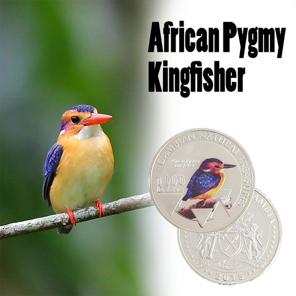 rh silver plated african pygmy kingfisher pattern gambian natural treasures commemorative coins collectibles for collection f wmtlnj
rh silver plated african pygmy kingfisher pattern gambian natural treasures commemorative coins collectibles for collection f wmtlnj