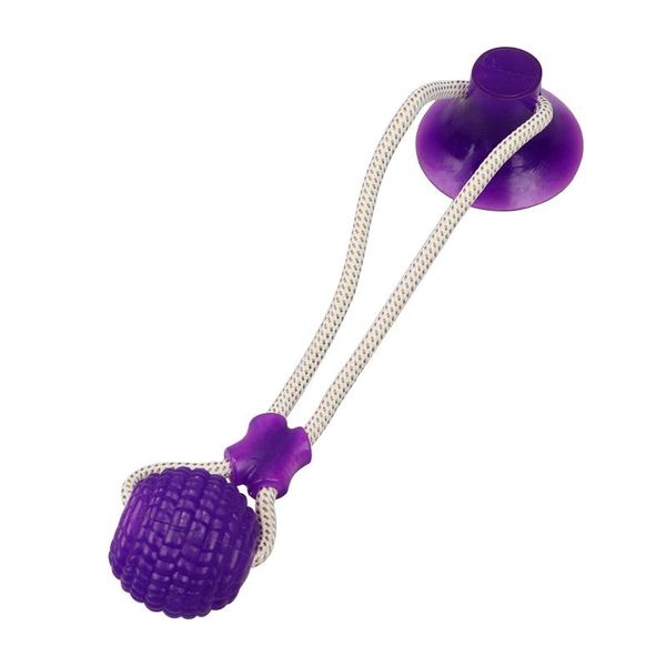 pet toys with suction cup dog push toy with tpr ball pet tooth cleaning chewing rubber dog toys for small dogs q wmtlqo
pet toys with suction cup dog push toy with tpr ball pet tooth cleaning chewing rubber dog toys for small dogs q wmtlqo
