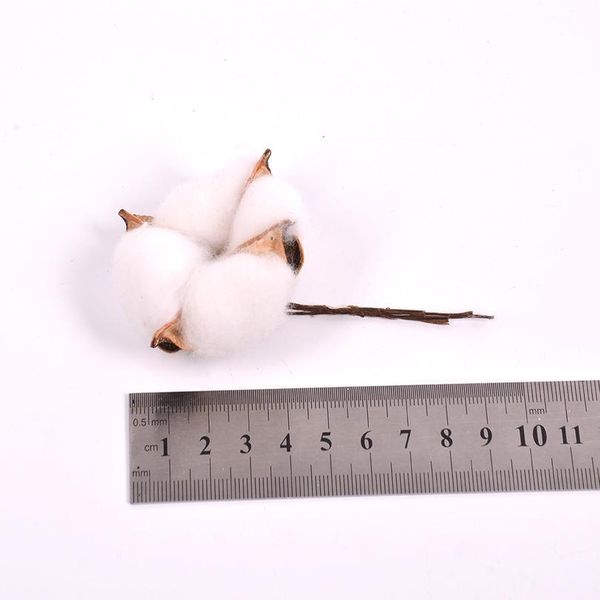 5pcs artificial flower kapok cotton head for wedding christmas home decoration diy craft wreath scrapbook natural dried jllvme
5pcs artificial flower kapok cotton head for wedding christmas home decoration diy craft wreath scrapbook natural dried jllvme