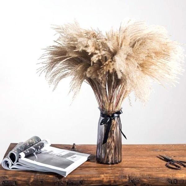 decorative flowers & wreaths 100/50pcs dried reed bundle bouquet flower arrangement wedding holiday party decor1
decorative flowers & wreaths 100/50pcs dried reed bundle bouquet flower arrangement wedding holiday party decor1