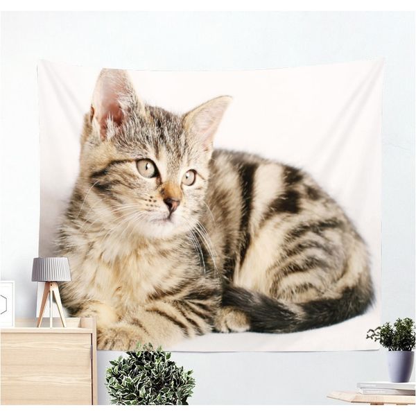 3d creative cool cats series pattern patteries полиэстер гобелен мопс животное напечатано настенные висит гобилин гостиная домашний декор го
3d creative cool cats series pattern patteries полиэстер гобелен мопс животное напечатано настенные висит гобилин гостиная домашний декор го