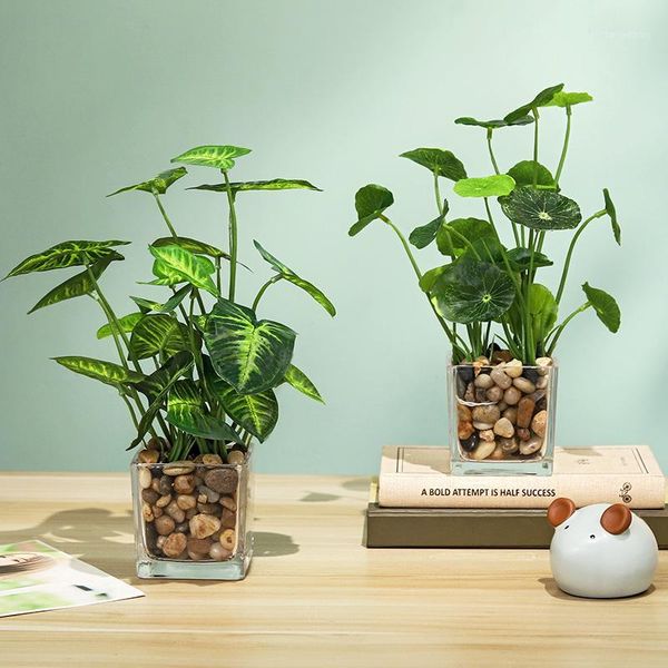 1pc green leaf artificial plants with glass bonsai simulation clover plant home table decor office desk decoration ornaments1
1pc green leaf artificial plants with glass bonsai simulation clover plant home table decor office desk decoration ornaments1