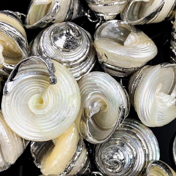 2pcs natural tower conch pendant seashells necklace charms pendant shell for diy ornaments jewelry earrings making accessories h jllwix
2pcs natural tower conch pendant seashells necklace charms pendant shell for diy ornaments jewelry earrings making accessories h jllwix