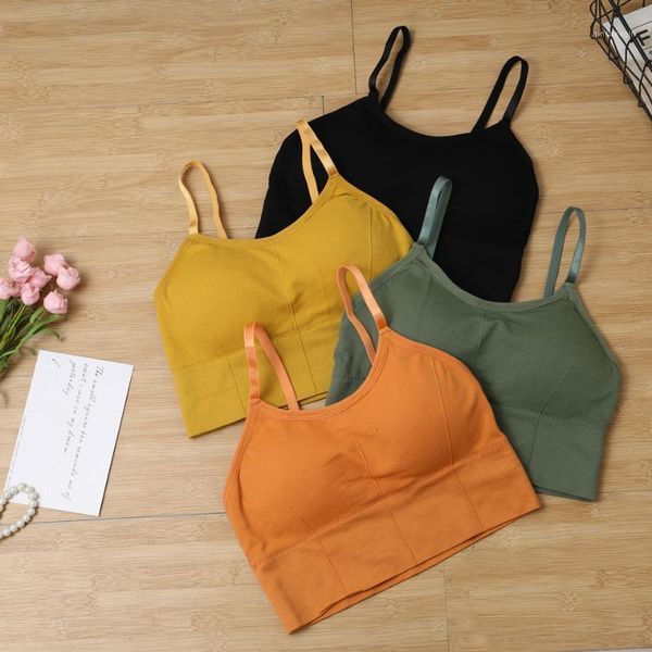 7 colors seamless padded sports bras yoga sport bra women shockproof breathable fitness running gym vest sportswear1, White;black
7 colors seamless padded sports bras yoga sport bra women shockproof breathable fitness running gym vest sportswear1, White;black