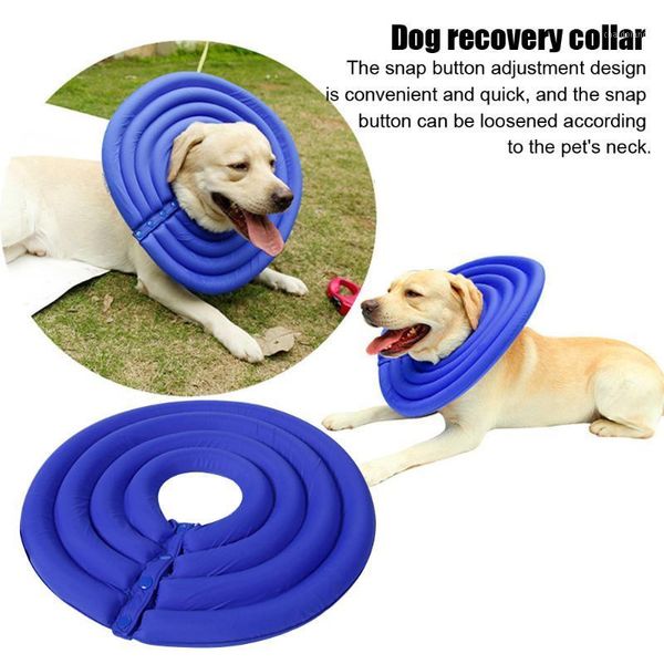 waterproof snap button dog recovery collar quicker healing adjustable cone e-collar after home nylon cloth anti bite1
waterproof snap button dog recovery collar quicker healing adjustable cone e-collar after home nylon cloth anti bite1