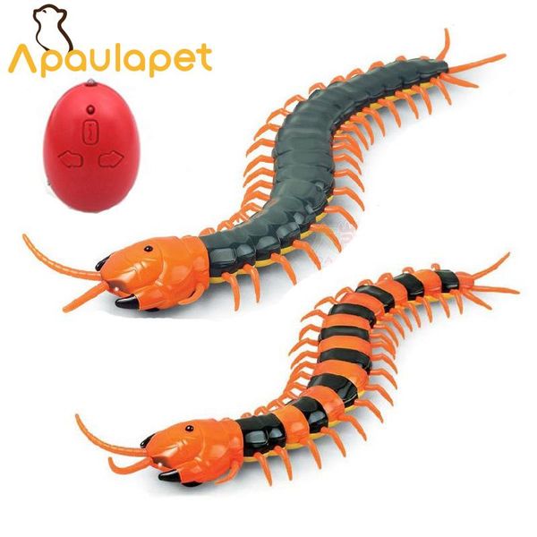 cat toys apaulapet dog toy electric rc centipede fake insect remote control creative tricky funny for
cat toys apaulapet dog toy electric rc centipede fake insect remote control creative tricky funny for