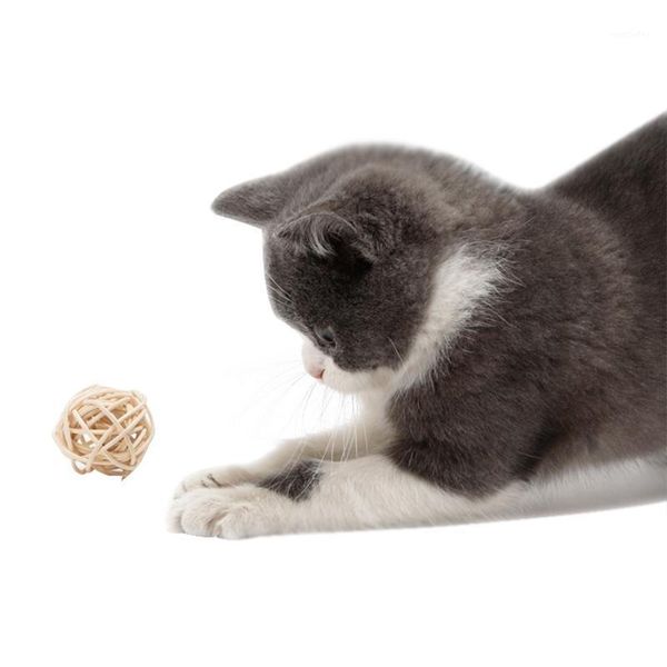 cat toys kitten fun play games teaser pets interactive leather bell balls set animal exercise funny kitty boredom toye1
cat toys kitten fun play games teaser pets interactive leather bell balls set animal exercise funny kitty boredom toye1