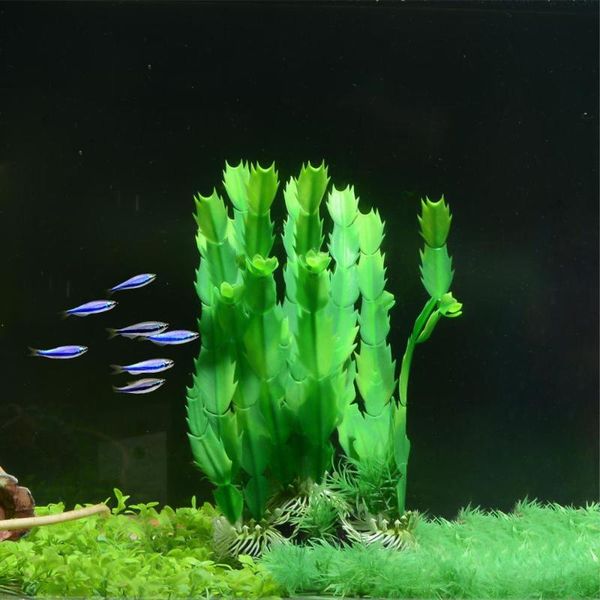 saim aquarium dragon фруктовые дерево вода трава декор подводный искусственный водный рабочий орнамент зеленая вода трава рыбный танк декор 
saim aquarium dragon фруктовые дерево вода трава декор подводный искусственный водный рабочий орнамент зеленая вода трава рыбный танк декор