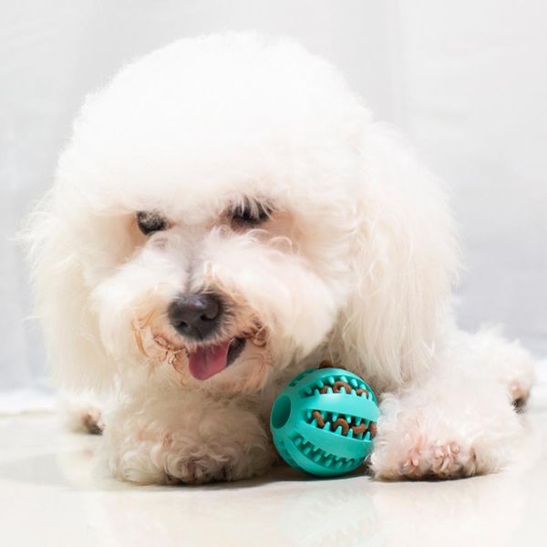 5 / 7 cm dog toys ball elasticity dog ball chew toys for tooth clean ball food extra-tough rubber dog q wmteox
5 / 7 cm dog toys ball elasticity dog ball chew toys for tooth clean ball food extra-tough rubber dog q wmteox