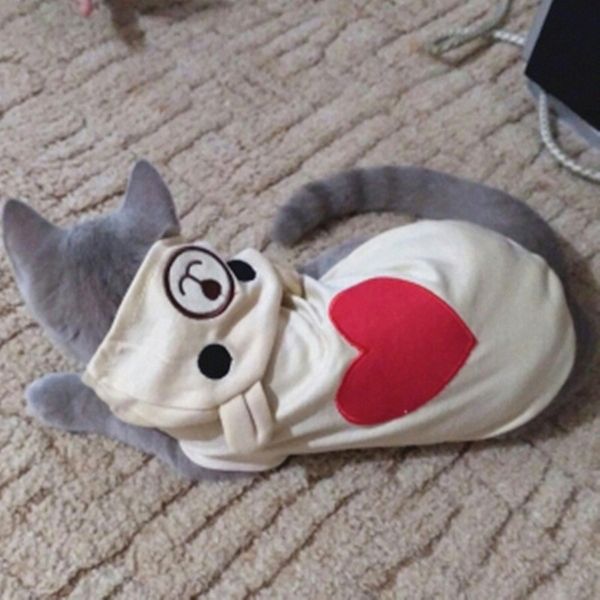 cute cat clothes fashion spring cat coat hoodie clothing for small cats outfit vest rabbit animals pet clothes
cute cat clothes fashion spring cat coat hoodie clothing for small cats outfit vest rabbit animals pet clothes