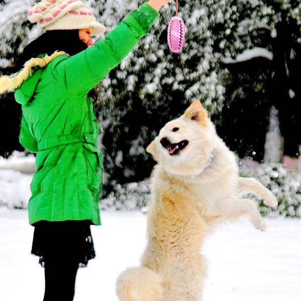 pet dog toy interactive pet toys stretch rubber leaking ball cat dog chew toys tooth cleaning ball puppy toys pet dental q wmtklv
pet dog toy interactive pet toys stretch rubber leaking ball cat dog chew toys tooth cleaning ball puppy toys pet dental q wmtklv