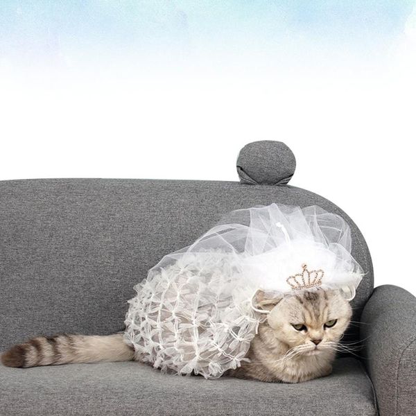 1 шт. cat bride headdress crown pattern прочная элегантная ткань аксессуар для косплей домашнего дня рождения
1 шт. cat bride headdress crown pattern прочная элегантная ткань аксессуар для косплей домашнего дня рождения