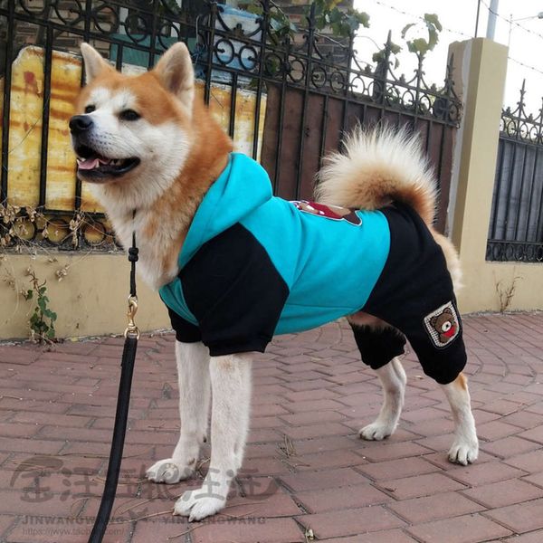 big akita golden samoye husky medium large dog border animal autumn and winter cloth
big akita golden samoye husky medium large dog border animal autumn and winter cloth