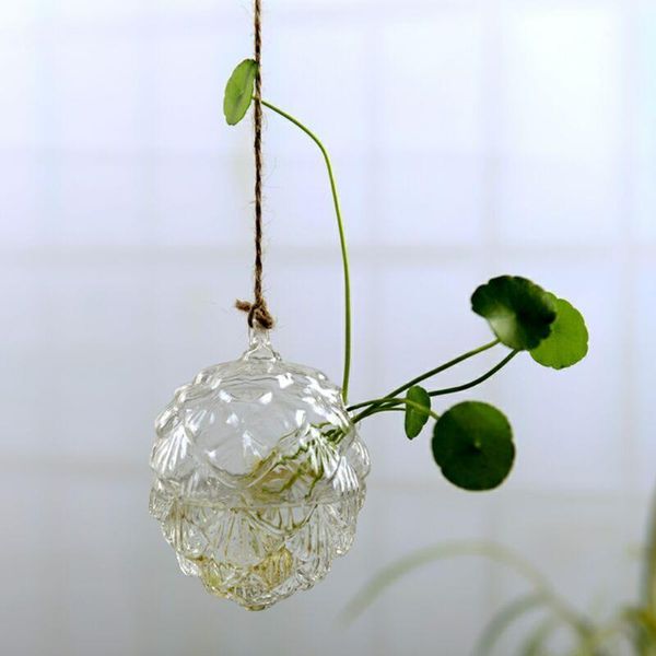 watering equipments hanging glass flowers plant vase bottle terrarium container home garden decors diy1
watering equipments hanging glass flowers plant vase bottle terrarium container home garden decors diy1