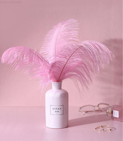 ostrich wedding banquet decoration show feather stage props costume accessories party supplies
ostrich wedding banquet decoration show feather stage props costume accessories party supplies