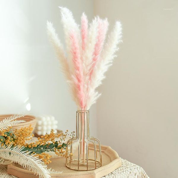 pampas grass fluffy fern real preserved dried hybird flower bouquet floral arrangement golden metal vase home room table deocr1
pampas grass fluffy fern real preserved dried hybird flower bouquet floral arrangement golden metal vase home room table deocr1