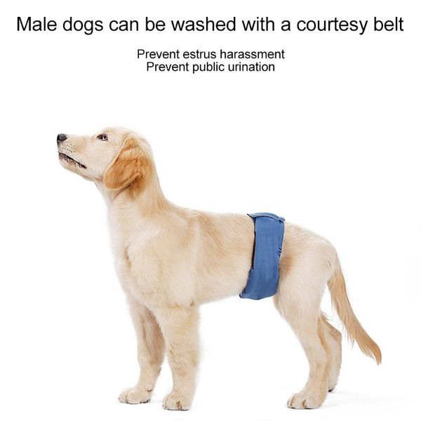 dog apparel male physiological belt anti-harassment diaper belly protector teddy gold waterproof bottom underwear pet hygiene pants
dog apparel male physiological belt anti-harassment diaper belly protector teddy gold waterproof bottom underwear pet hygiene pants