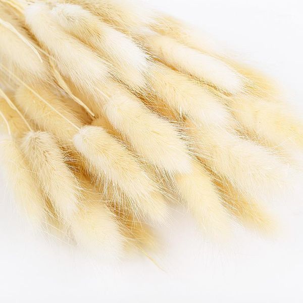 50 pcs dried flower grass decoration pgraphy props for home store wedding dried party artificial flowers decorations1
50 pcs dried flower grass decoration pgraphy props for home store wedding dried party artificial flowers decorations1