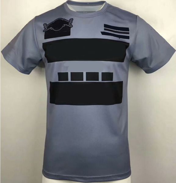 f1 formula one polyester quick-drying round neck short-sleeved polo shirt, street running downhill jersey for fans, forest road field cyclin
f1 formula one polyester quick-drying round neck short-sleeved polo shirt, street running downhill jersey for fans, forest road field cyclin