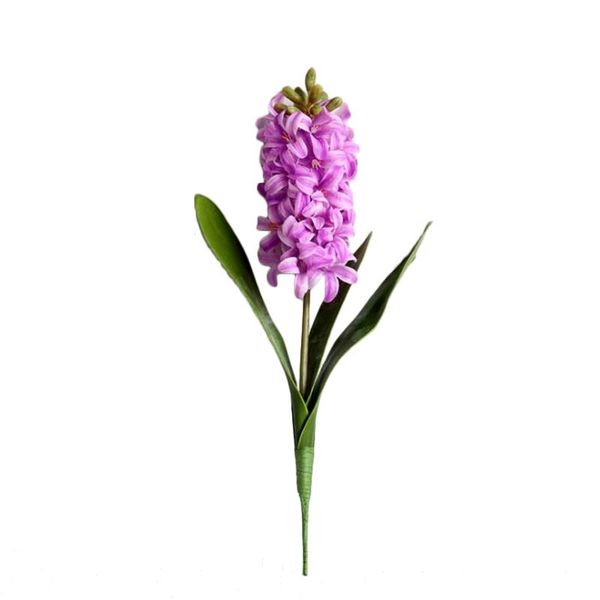 simulation flower artificial hyacinth plants pe hyacinthus orientalis material: pe real touch romantic and warm decorations
simulation flower artificial hyacinth plants pe hyacinthus orientalis material: pe real touch romantic and warm decorations