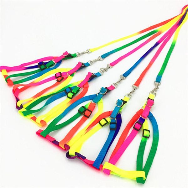 traumdeutung small dog collar harness leash for cats collar dogs pets accessories puppy colorful chihuahua harnais petit chien
traumdeutung small dog collar harness leash for cats collar dogs pets accessories puppy colorful chihuahua harnais petit chien