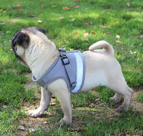 dog harness for small medium dogs nylon mesh puppy cat harnesses vest reflective walking lead le bbyzkd cxj_love
dog harness for small medium dogs nylon mesh puppy cat harnesses vest reflective walking lead le bbyzkd cxj_love