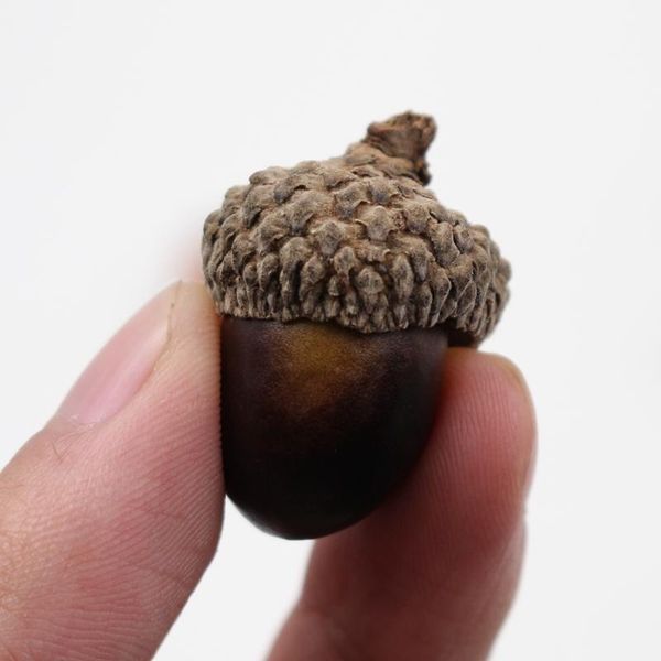 20pcs lot 3cm mini pine cones artificial flowers plants for home christmas tree decoration foam fake fruit and vegetables berry h jllhrc
20pcs lot 3cm mini pine cones artificial flowers plants for home christmas tree decoration foam fake fruit and vegetables berry h jllhrc