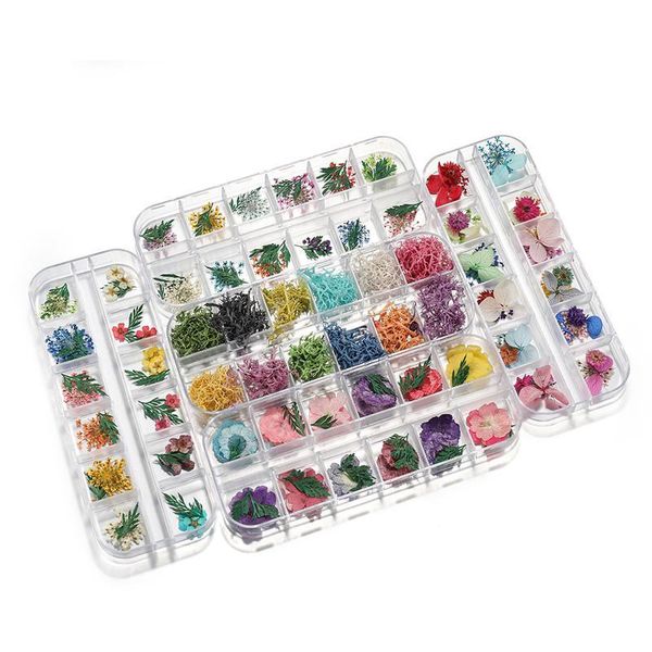 1box daisy real dried flower dried plant for aromatherapy candle epoxy resin molds nail art decals diy jewelry making jllhpe
1box daisy real dried flower dried plant for aromatherapy candle epoxy resin molds nail art decals diy jewelry making jllhpe
