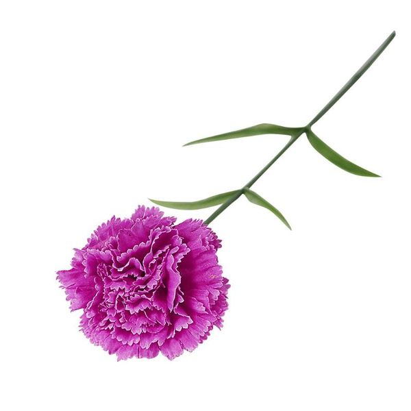 artificial flower artificial carnations silk flower plastic cloth bridal hydrangea home mother's day fake carnation plant
artificial flower artificial carnations silk flower plastic cloth bridal hydrangea home mother's day fake carnation plant