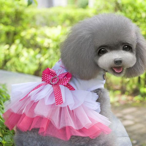 dog apparel pet cat clothes small dogs dresses sweety princess dress spring summer yarn skirt chihuahua pug yorkie clothing puppy
dog apparel pet cat clothes small dogs dresses sweety princess dress spring summer yarn skirt chihuahua pug yorkie clothing puppy