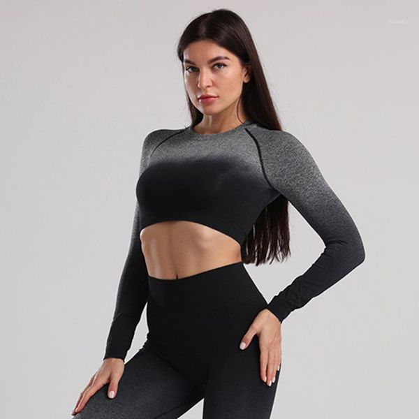 yoga outfits vip link sets women sport seamless gym suits wear running clothes fitness set long sleeve yoga1, White;red
yoga outfits vip link sets women sport seamless gym suits wear running clothes fitness set long sleeve yoga1, White;red