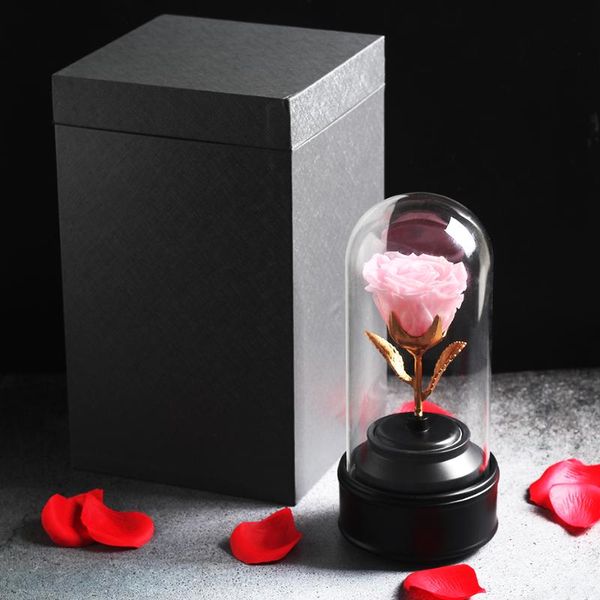 decorative flowers & wreaths rose flower of rotating music box wedding decorate mother's day valentine's birthday gift
decorative flowers & wreaths rose flower of rotating music box wedding decorate mother's day valentine's birthday gift